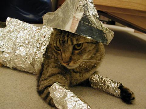 Tin Foil Hat For Cats