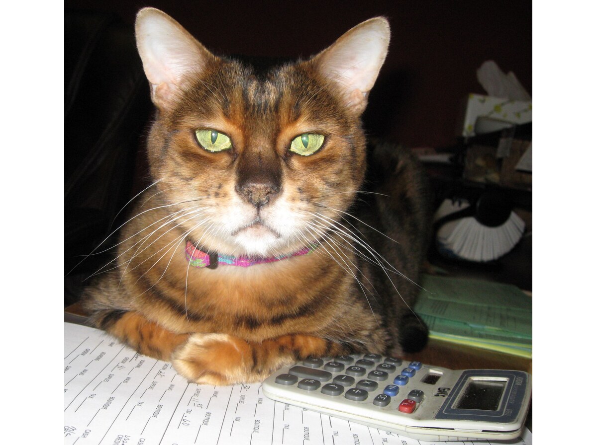 Accountant