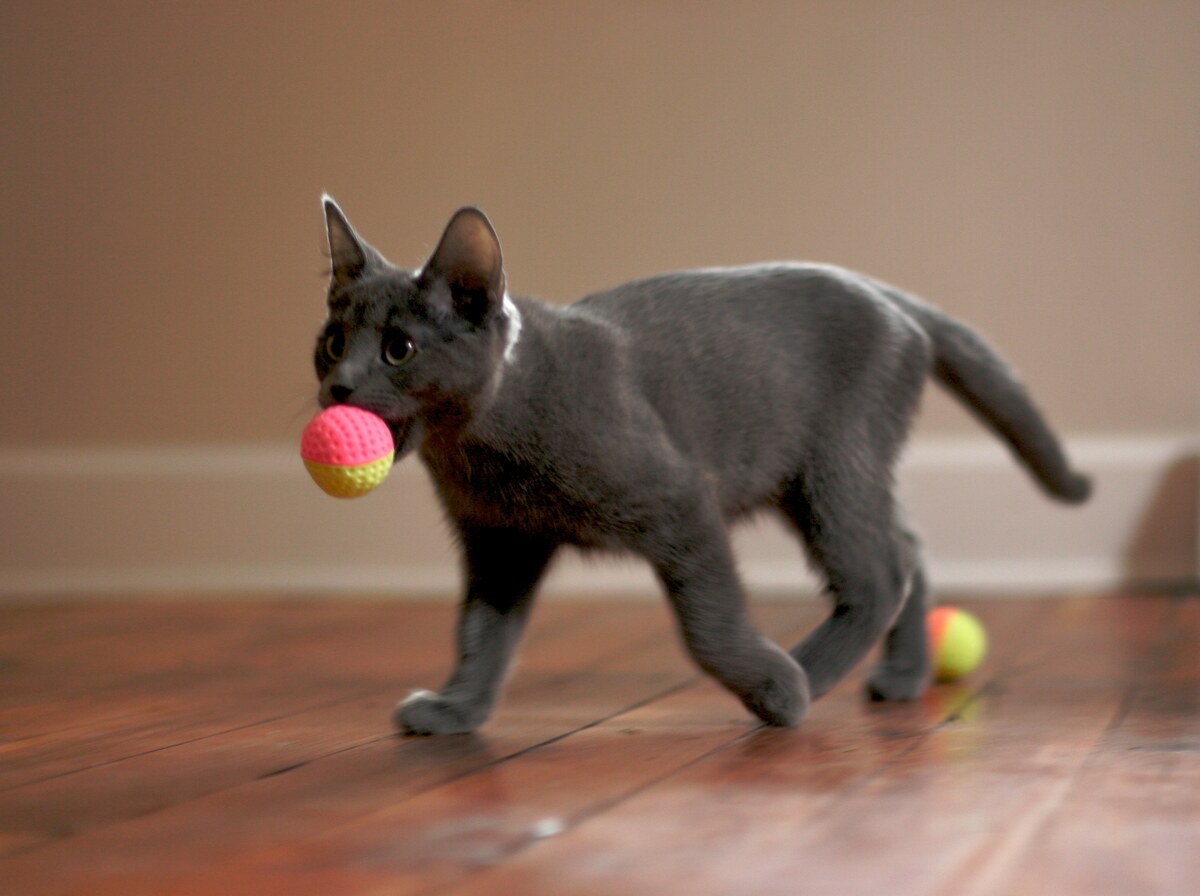 Ball
