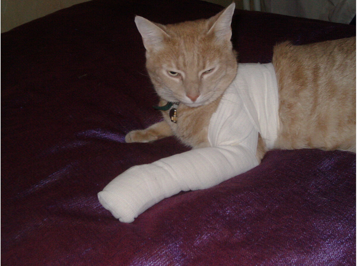 Bandage