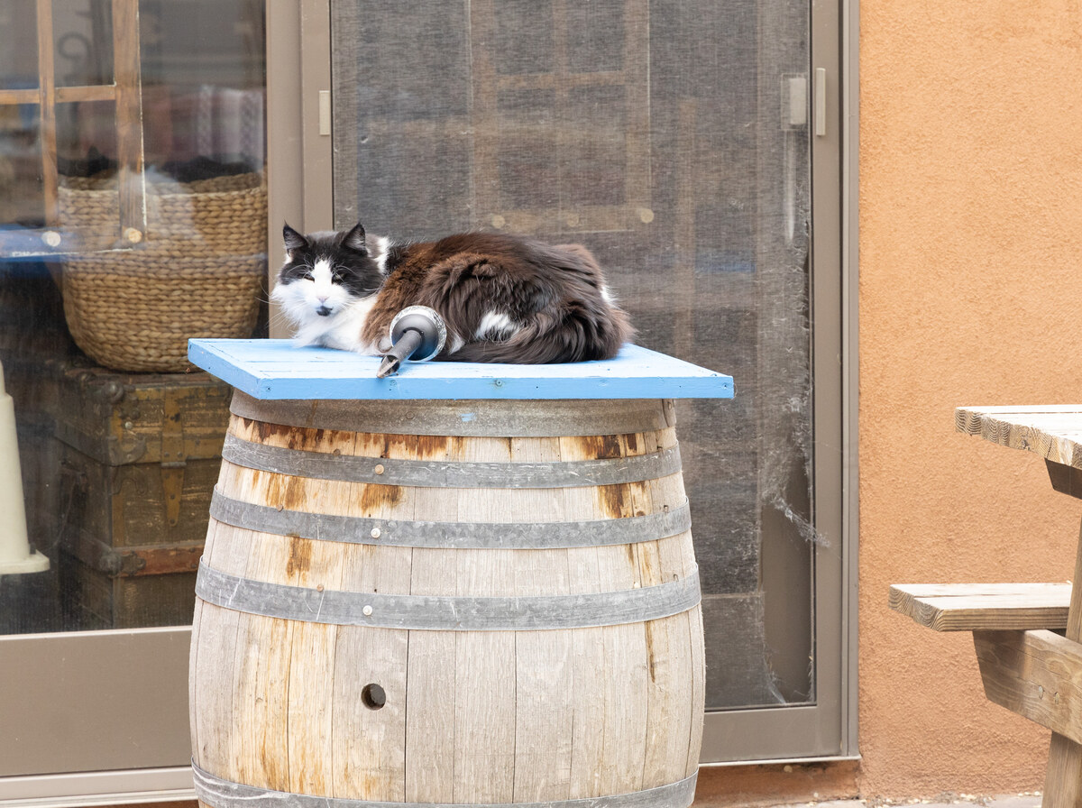 Barrel