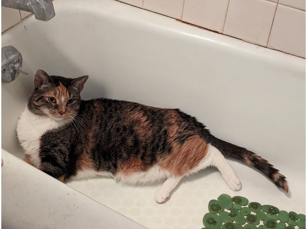 Bathtub