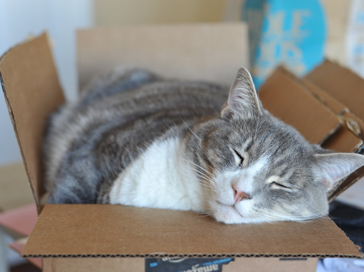 Box