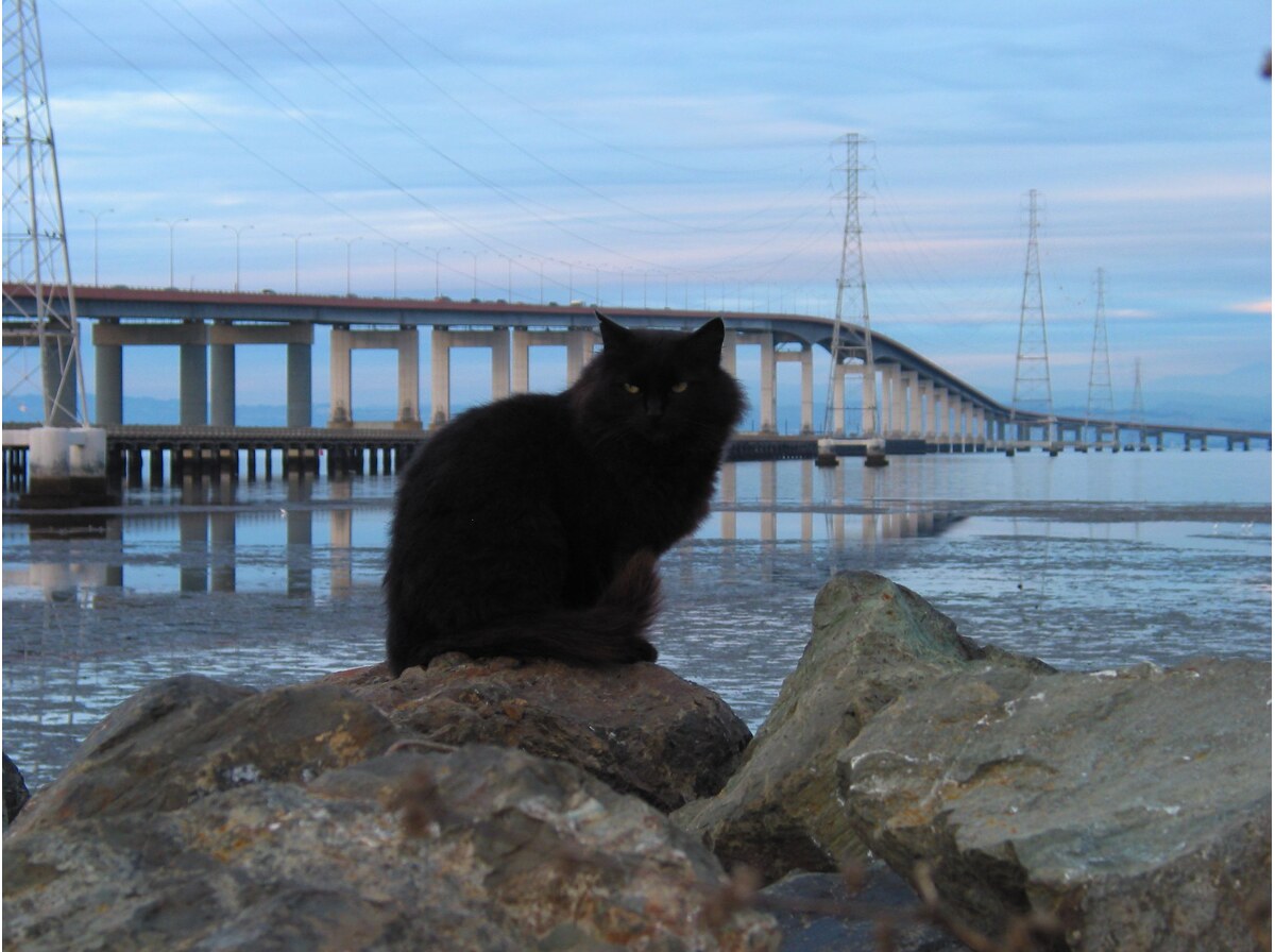Bridge
