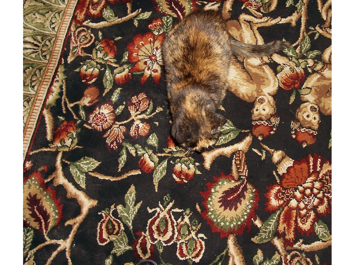 Camouflage