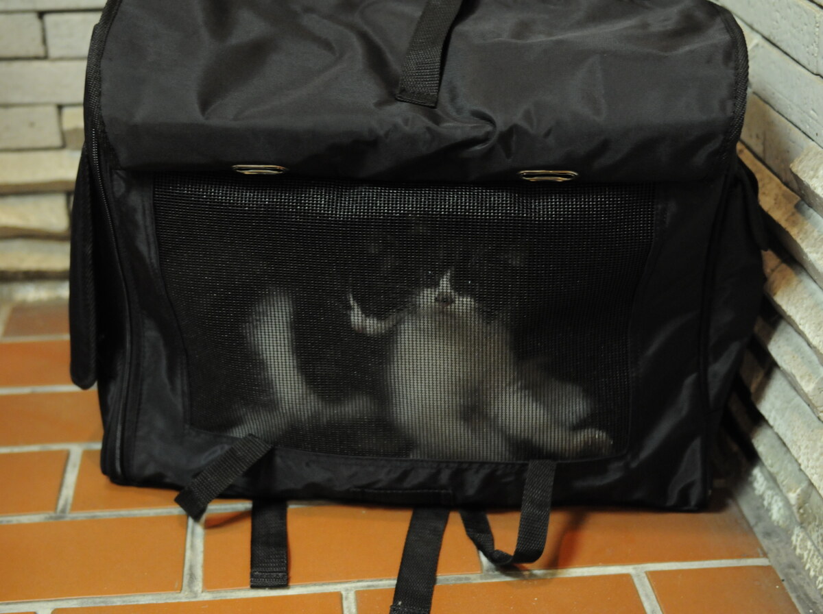 Carrybag