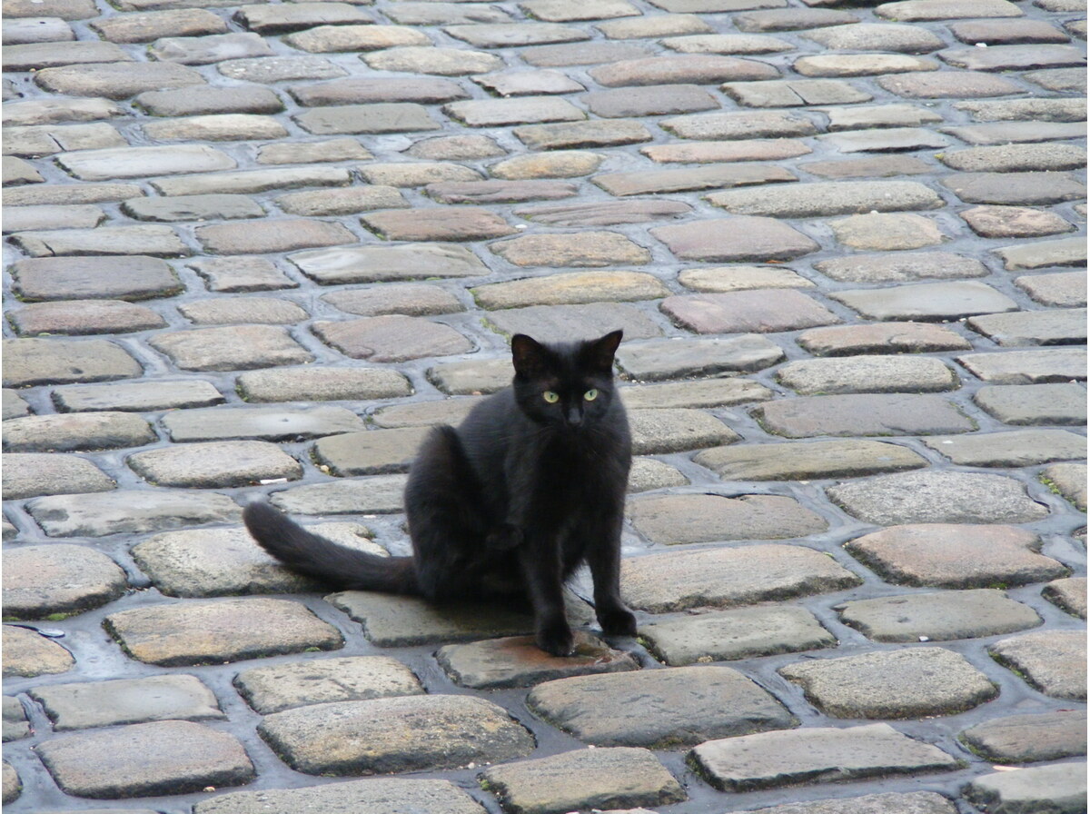 Cobblestones