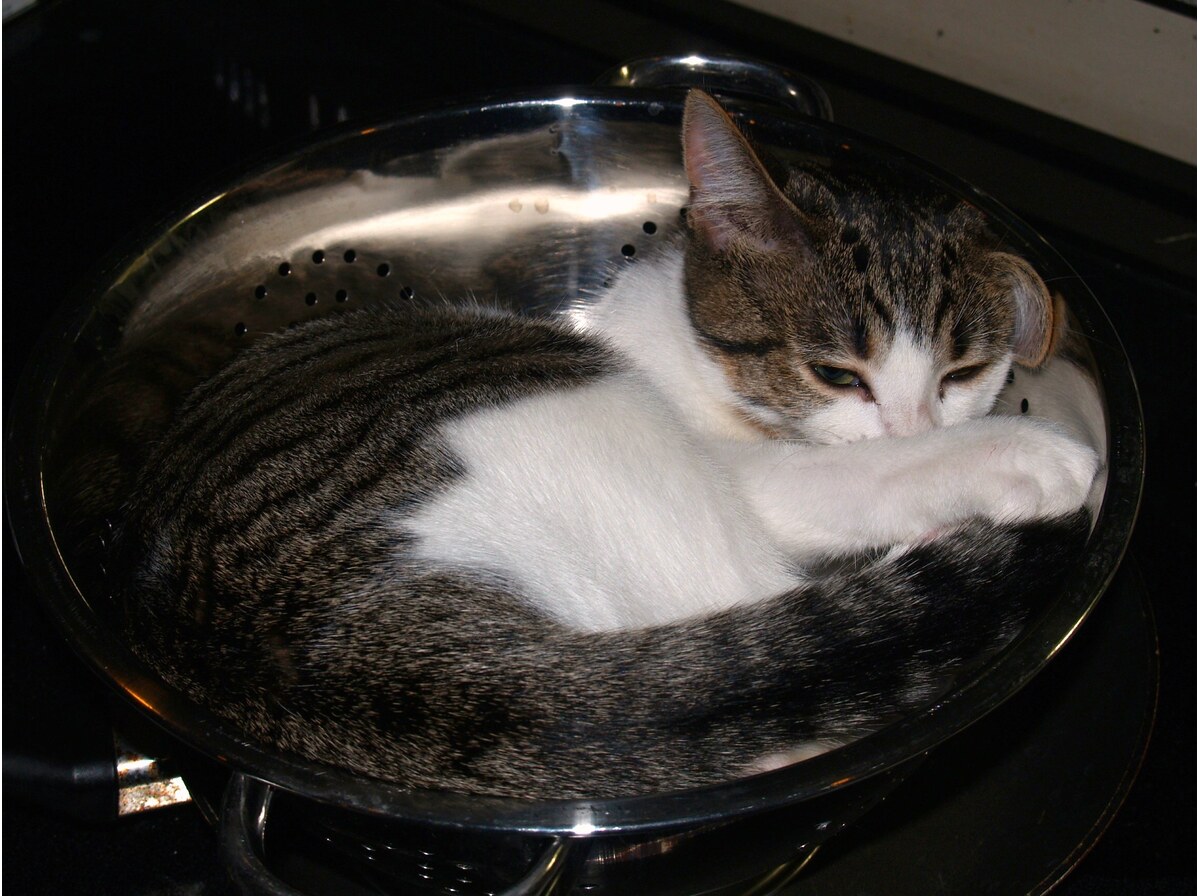 Colander