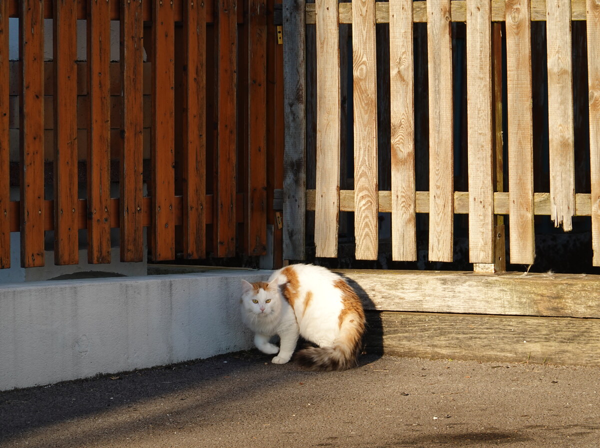 Corner