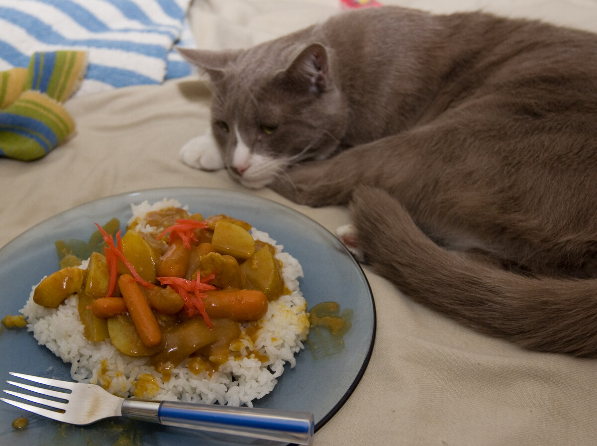 Curry