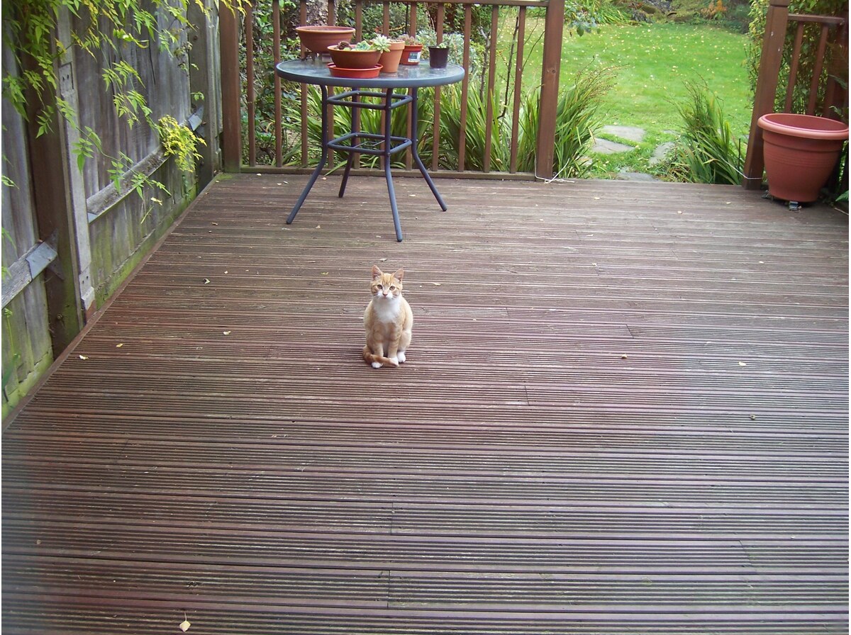 Deck