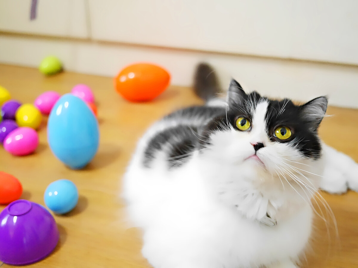 Easter