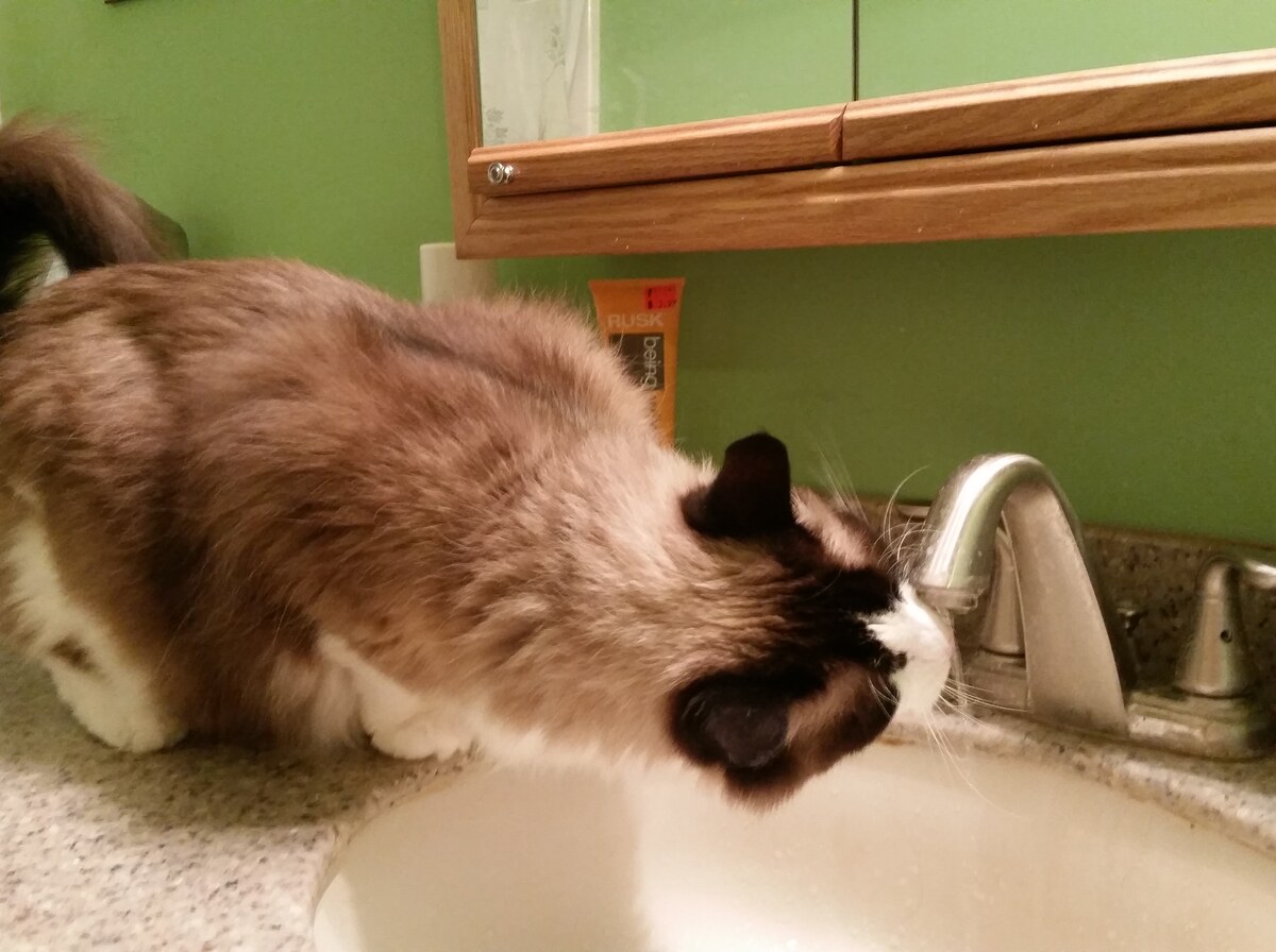 Faucet