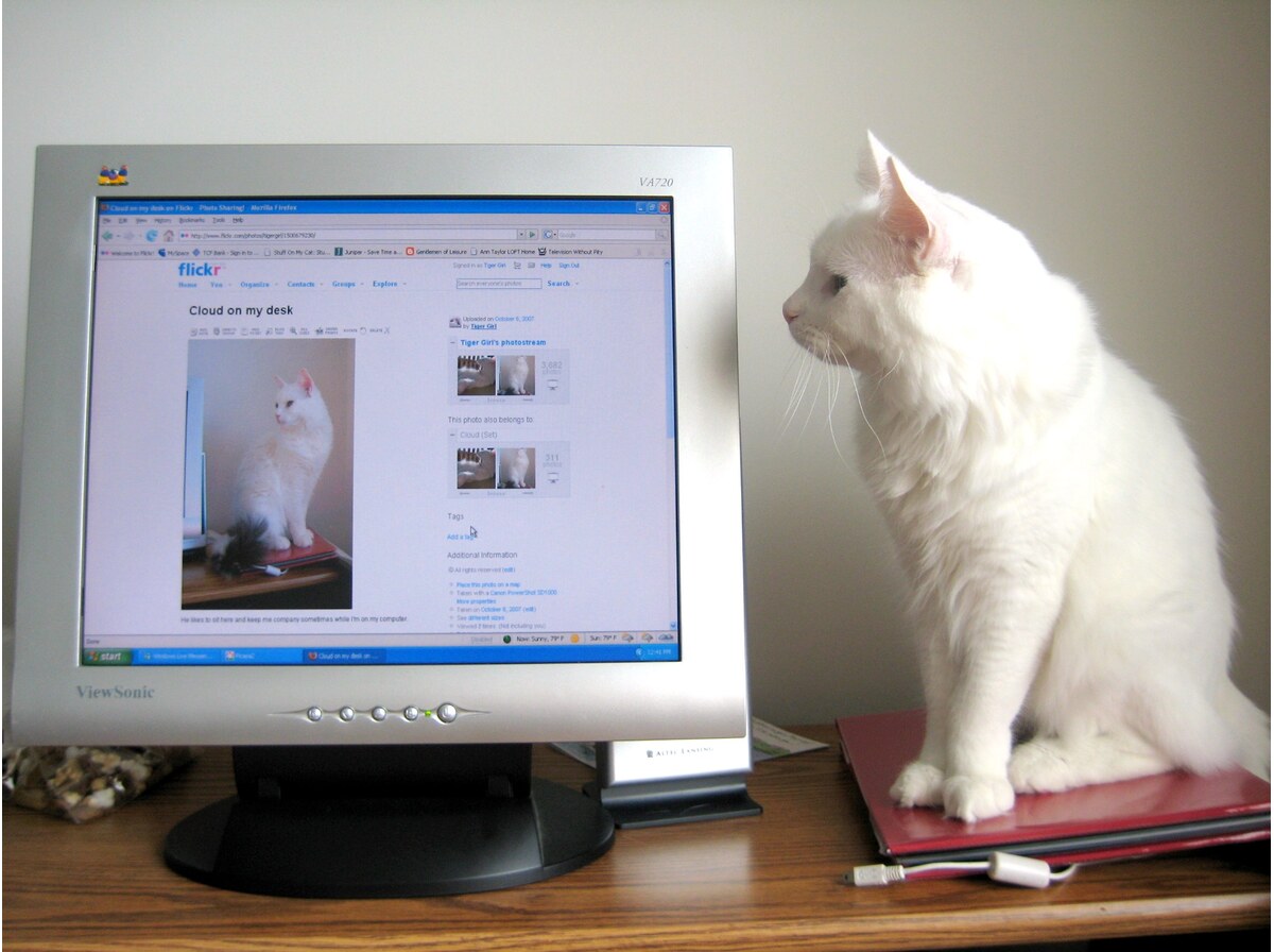 Flickr