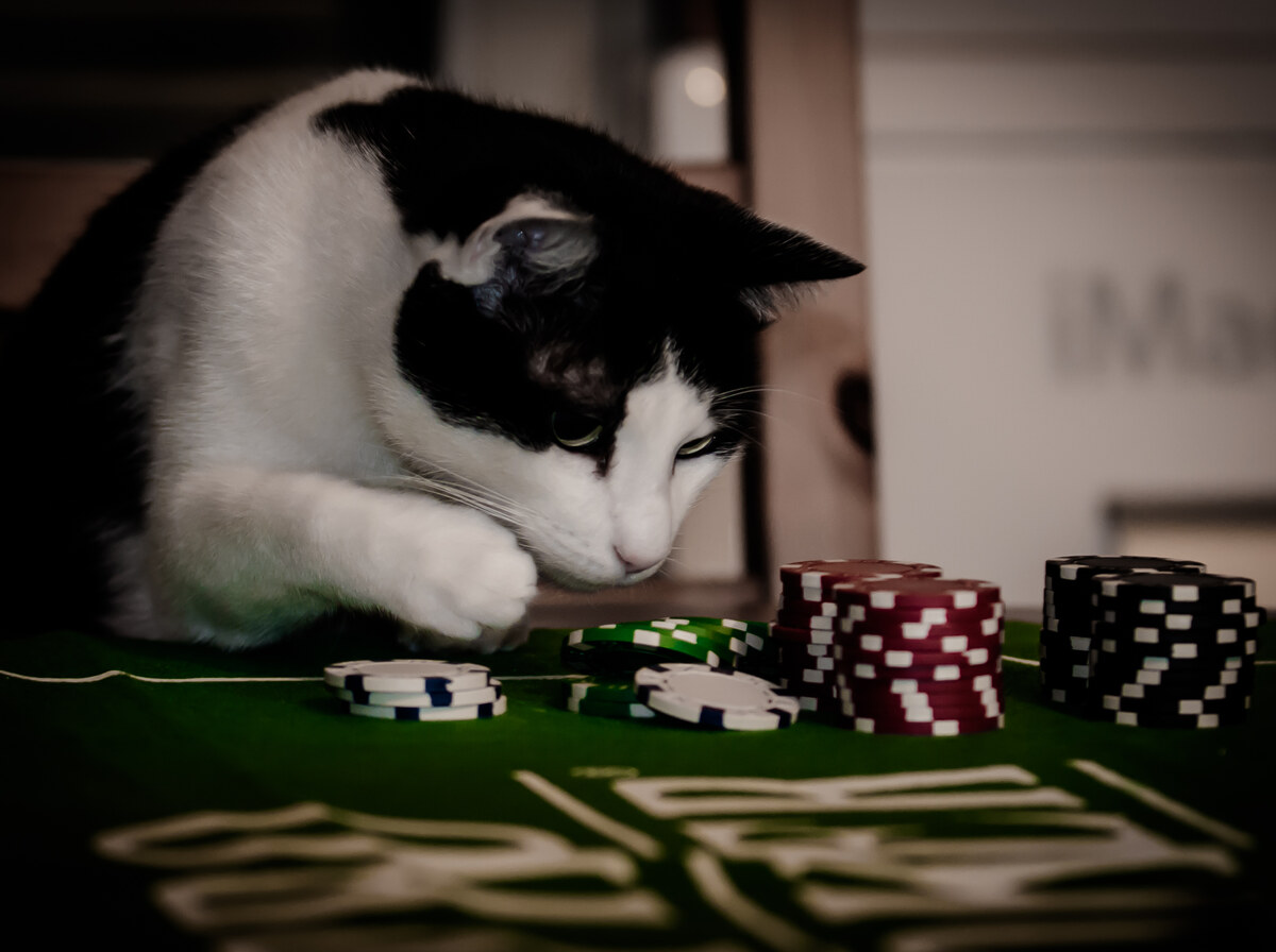 Gambling