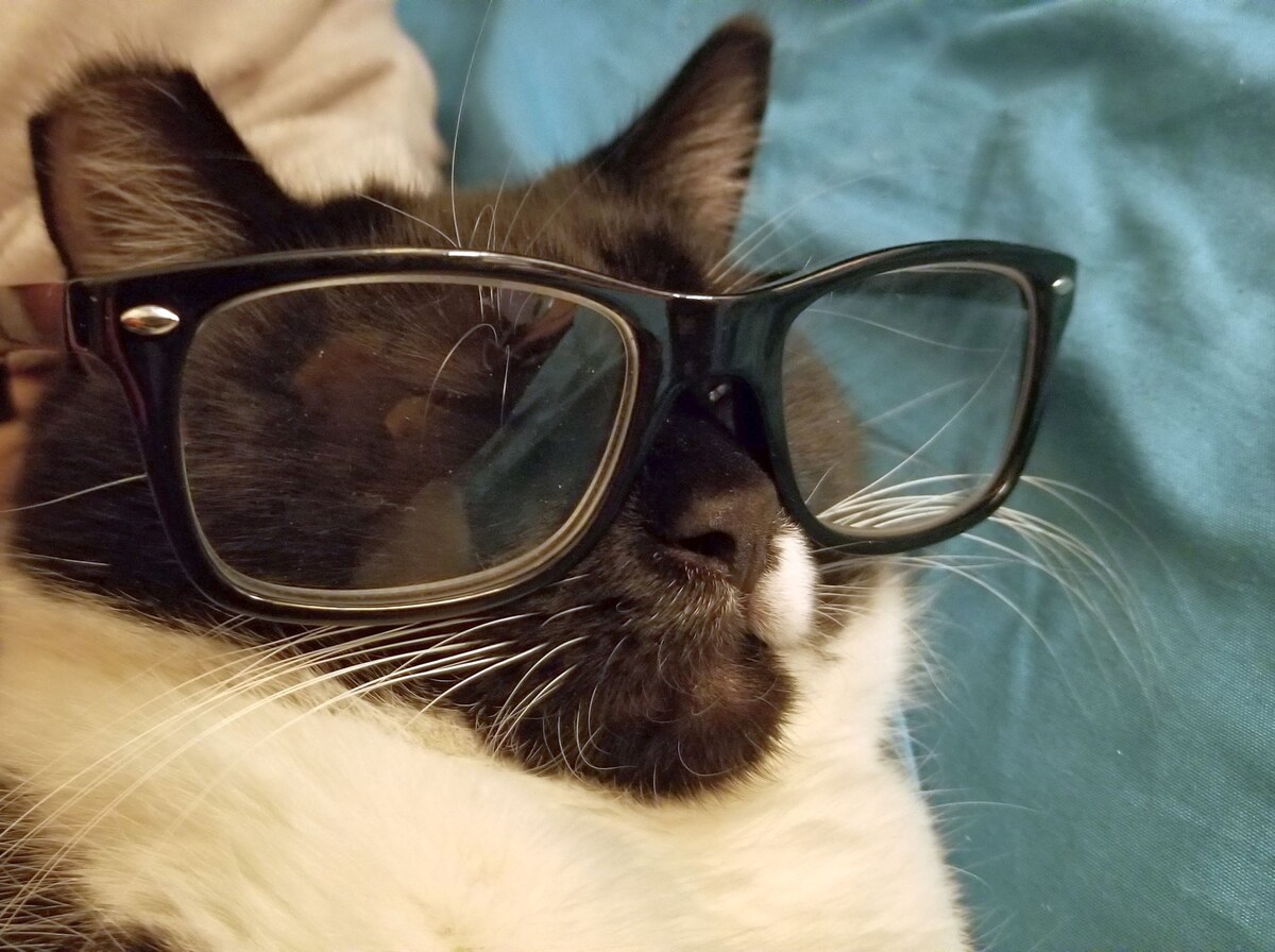 Glasses