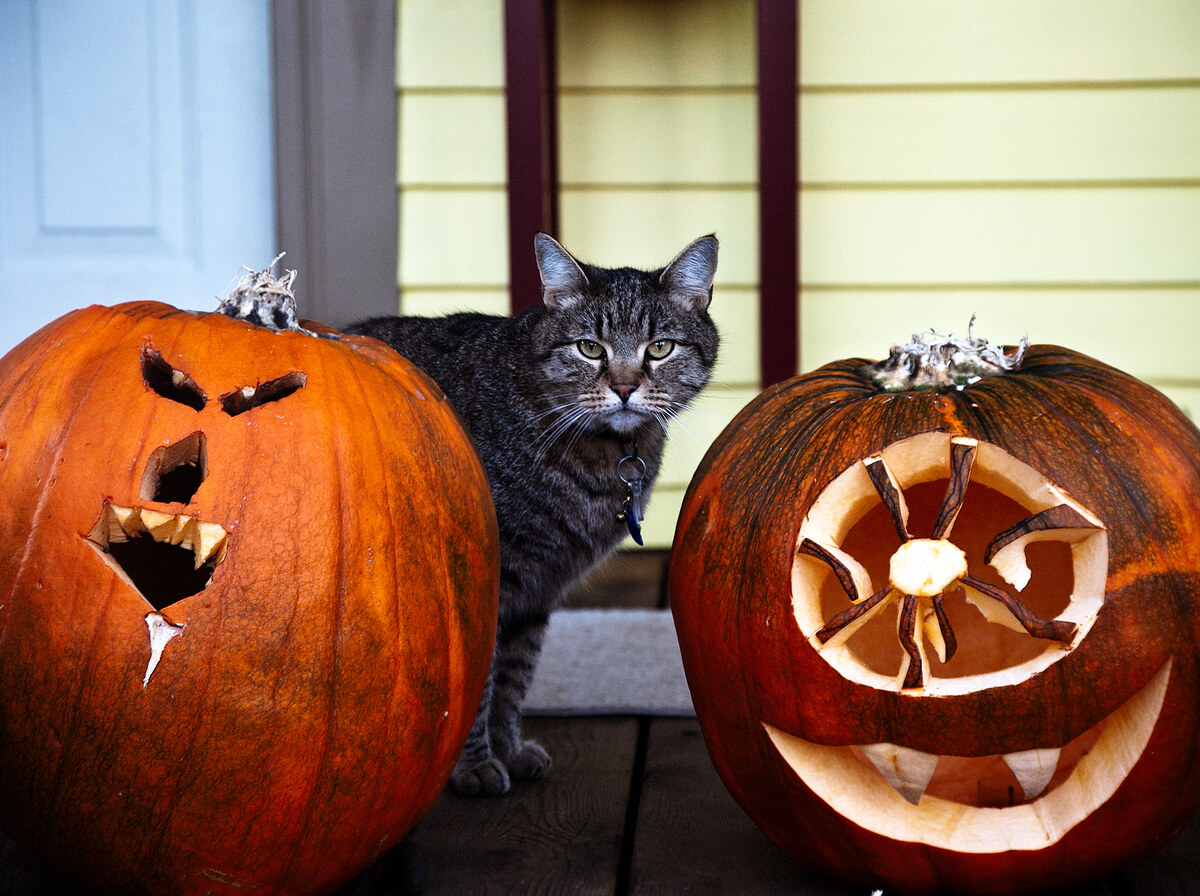 Halloween