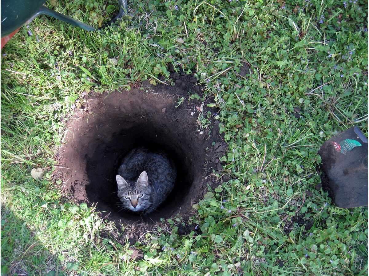 Hole