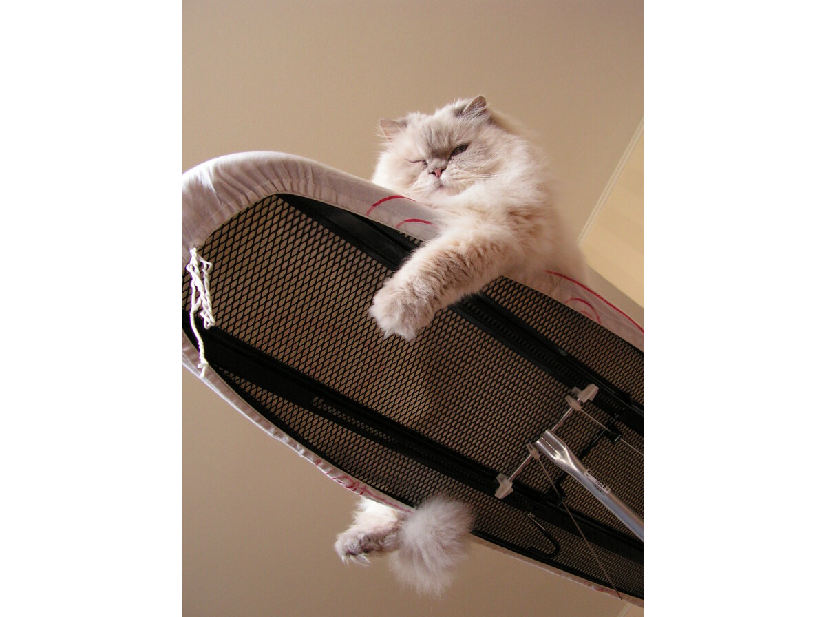 Ironing board