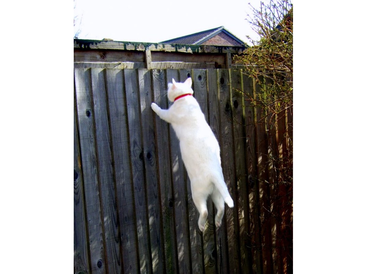 Jump