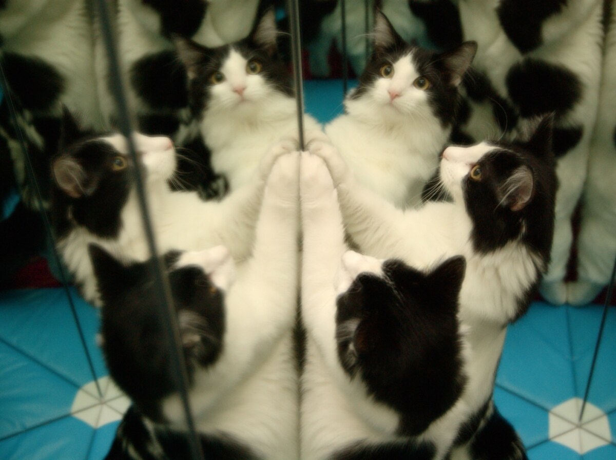 Kaleidoscope