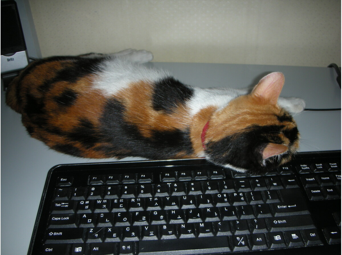 Keyboard