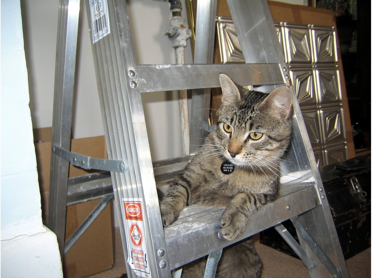 Ladder