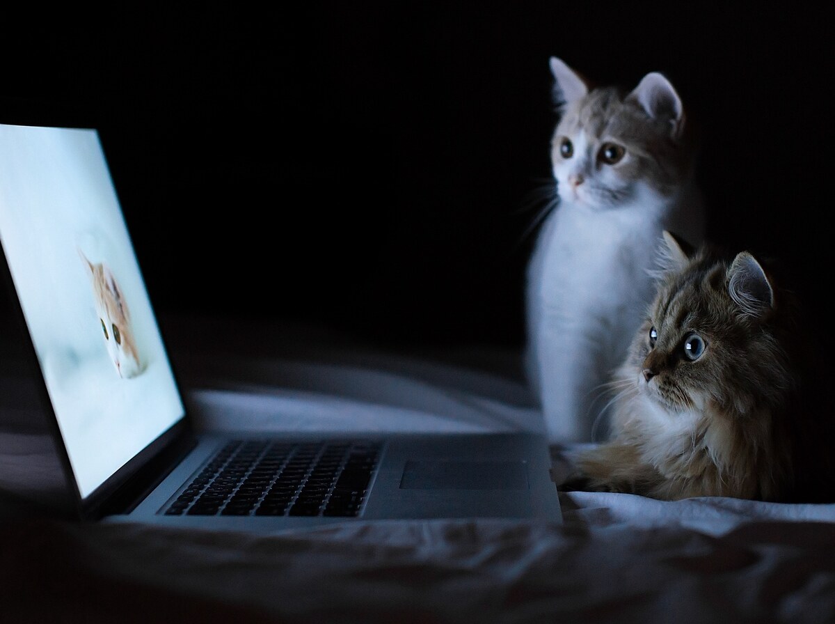 Laptop