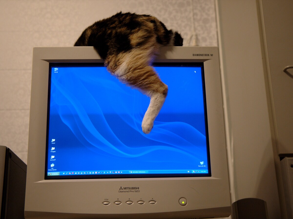 Monitor