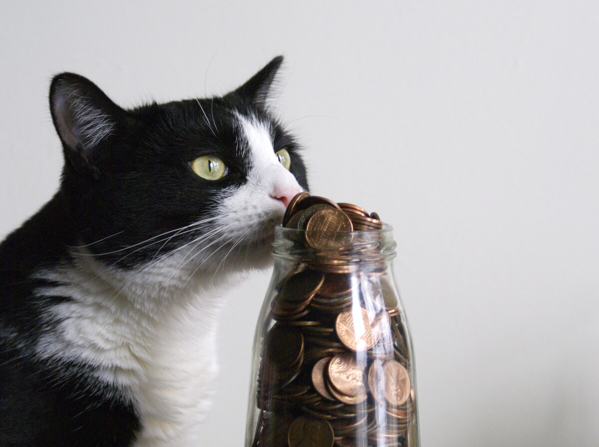 Penny