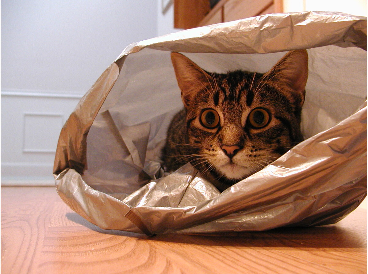 Plastic bag