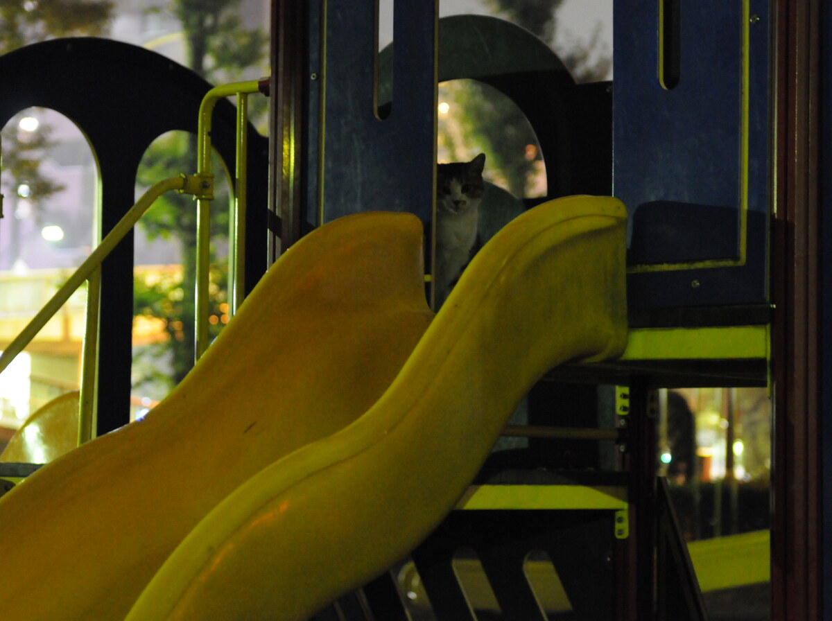 Playground slide