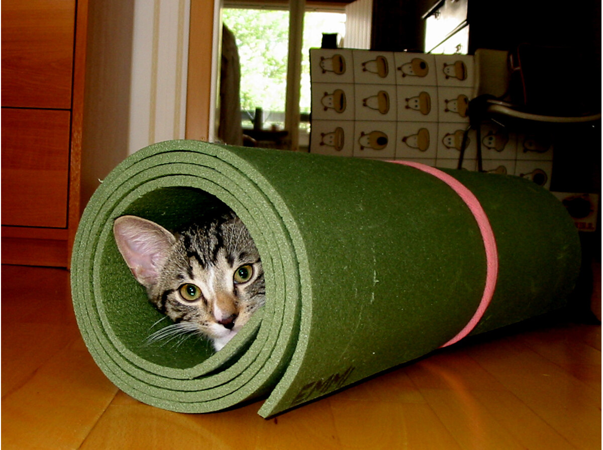 Roll