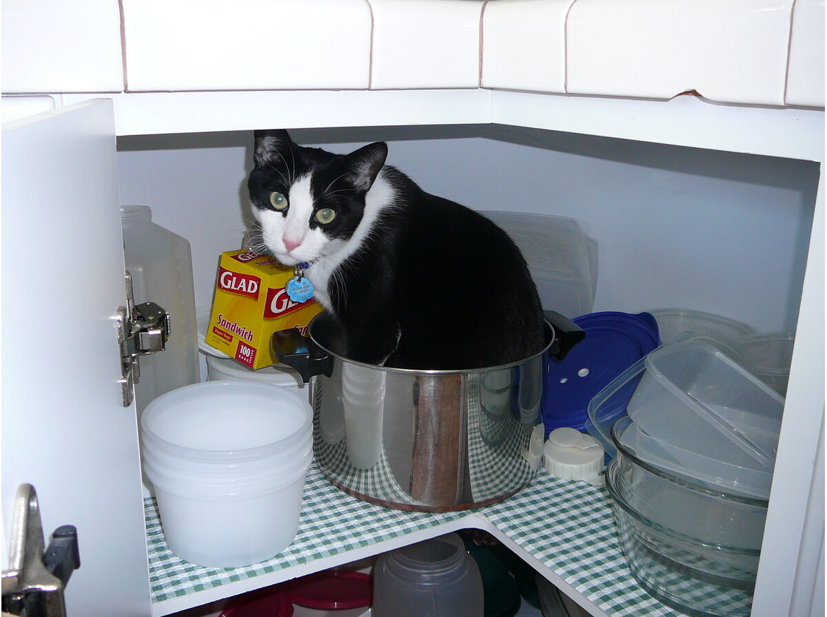 Saucepan
