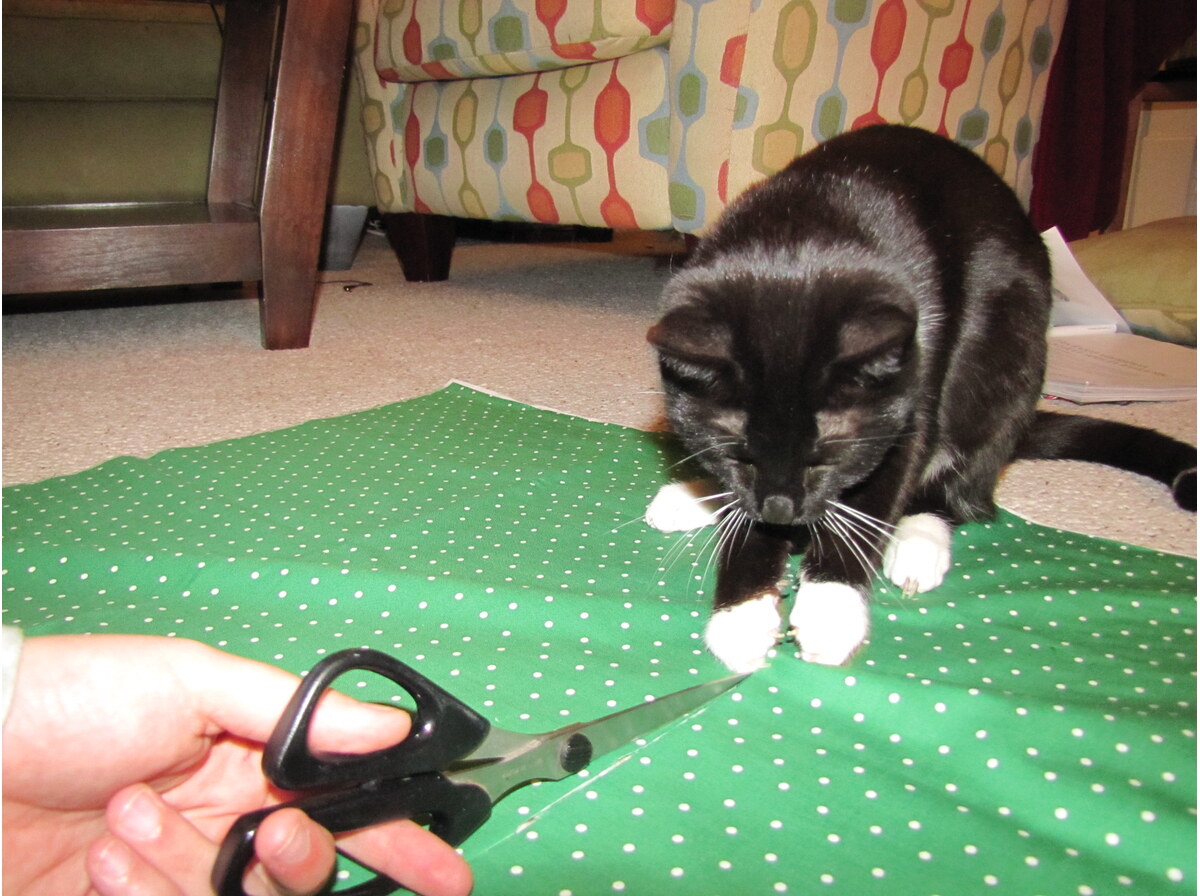 Scissors