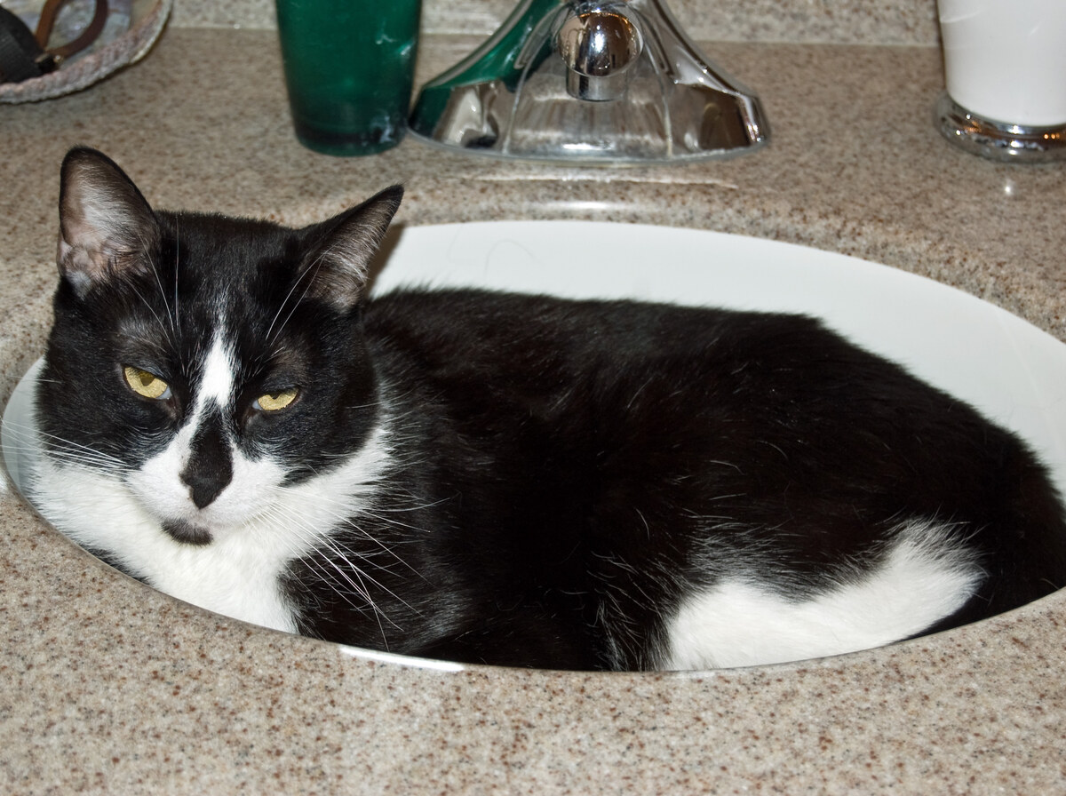Sink