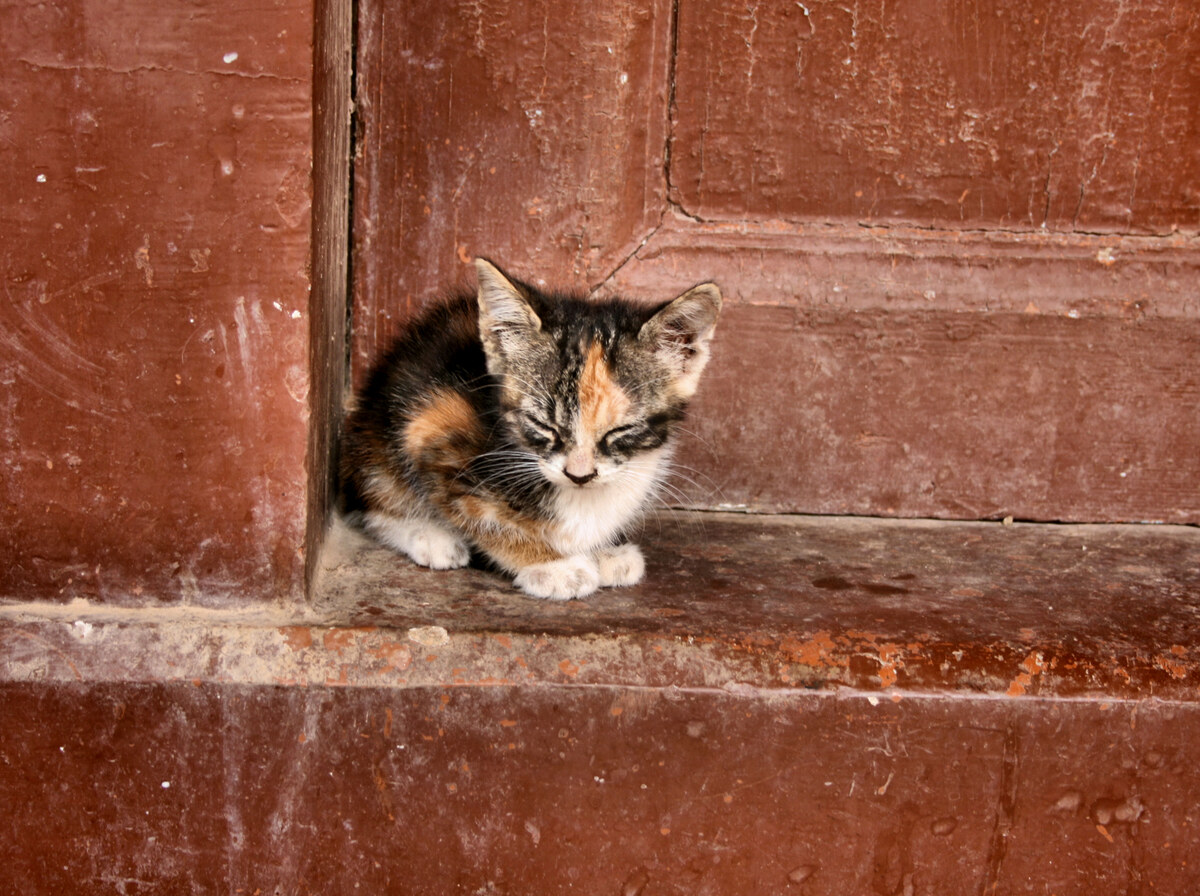 Small