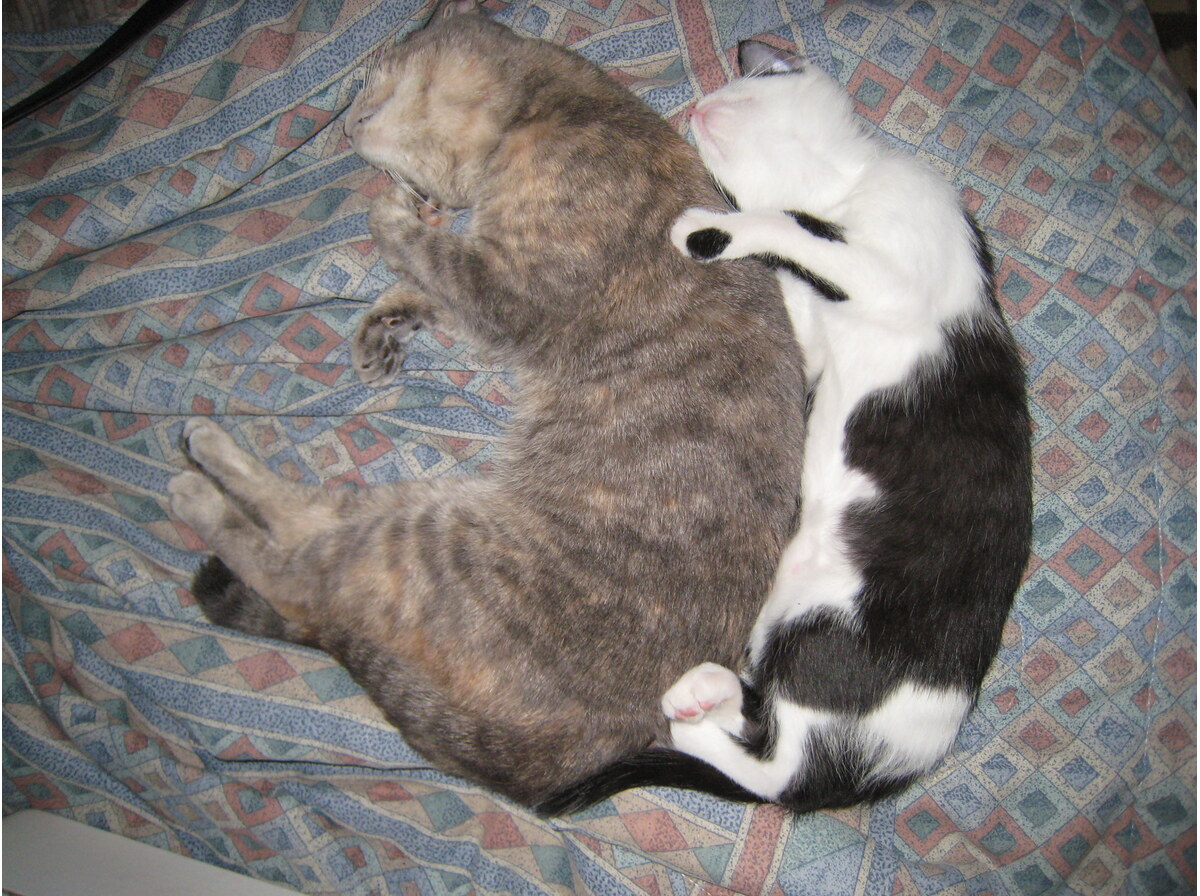 Spooning