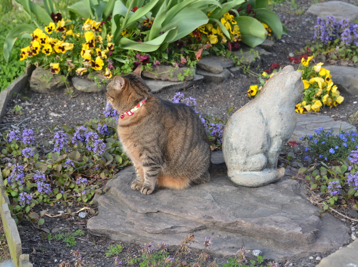 Statue