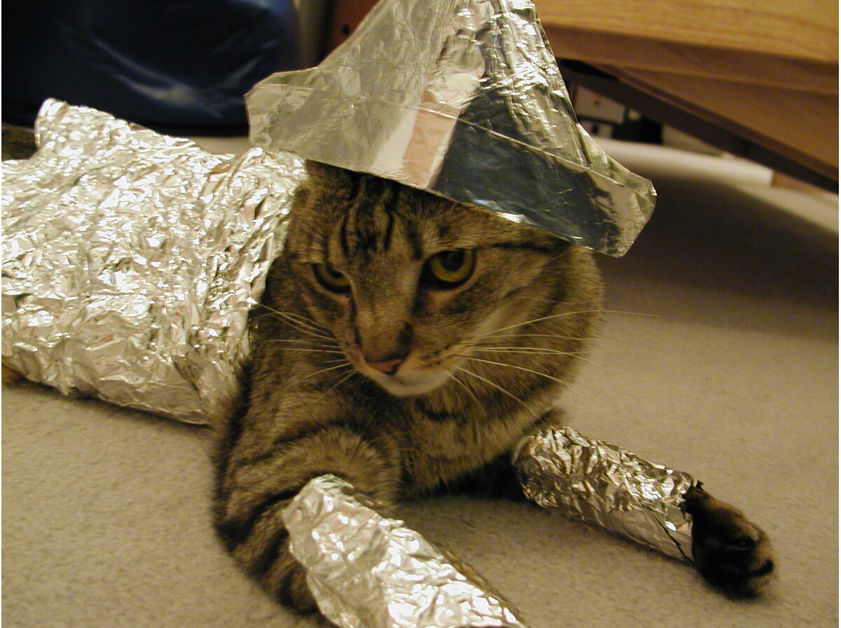 Tin foil hat
