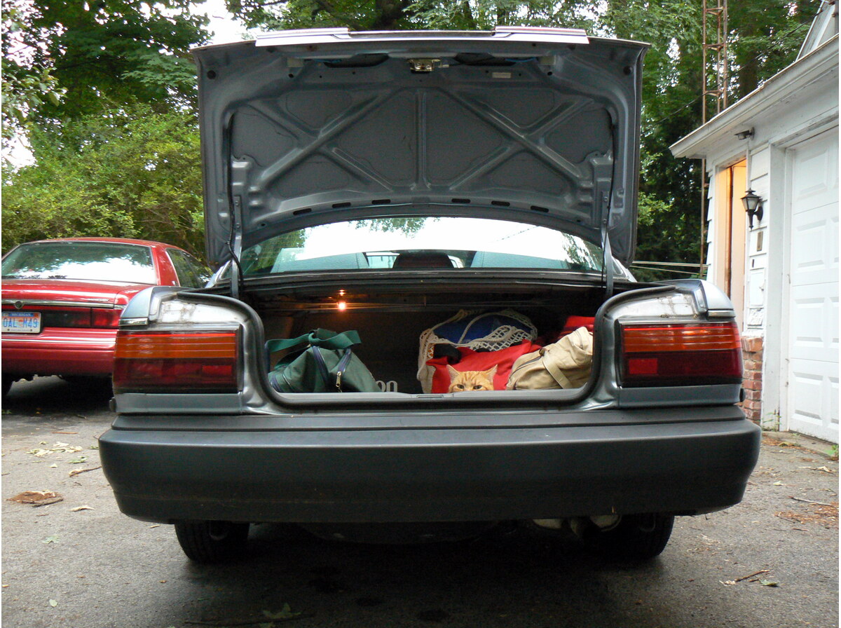 Trunk