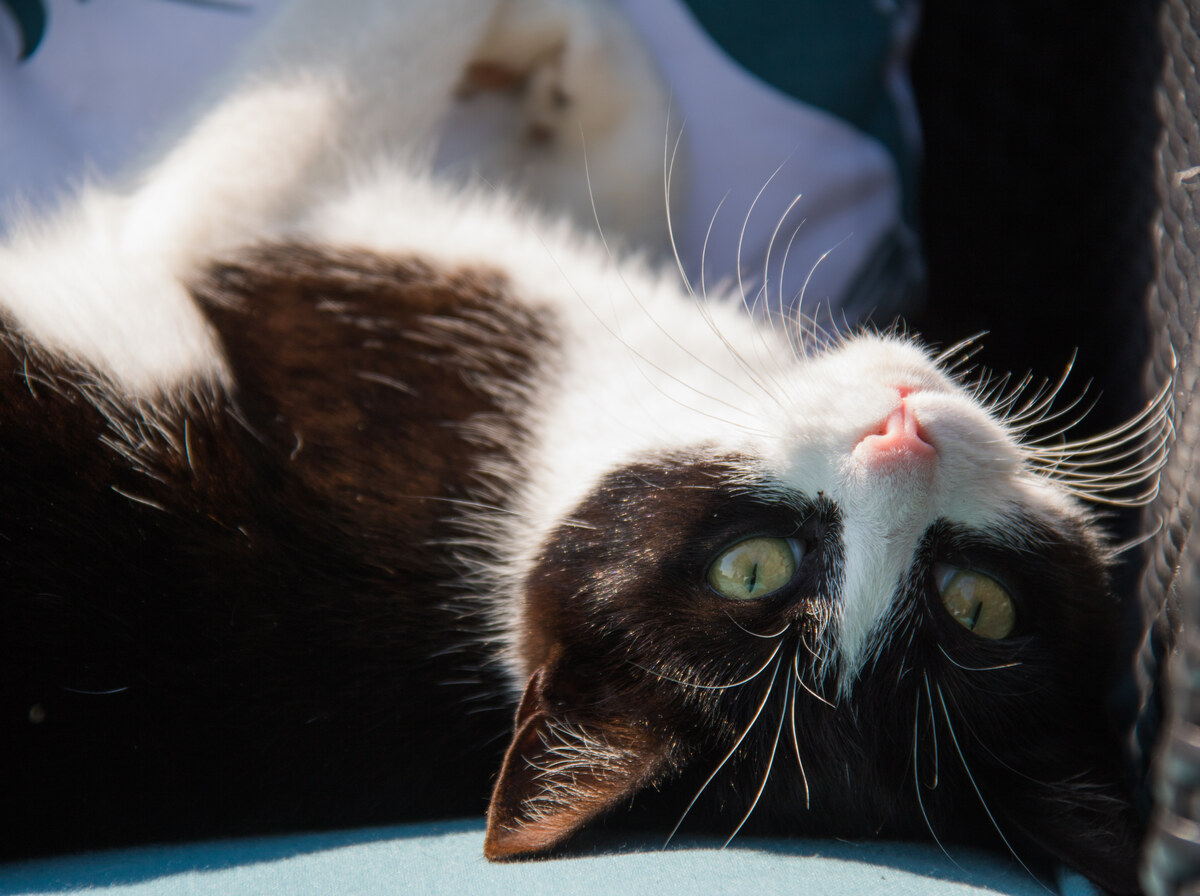 Upside down