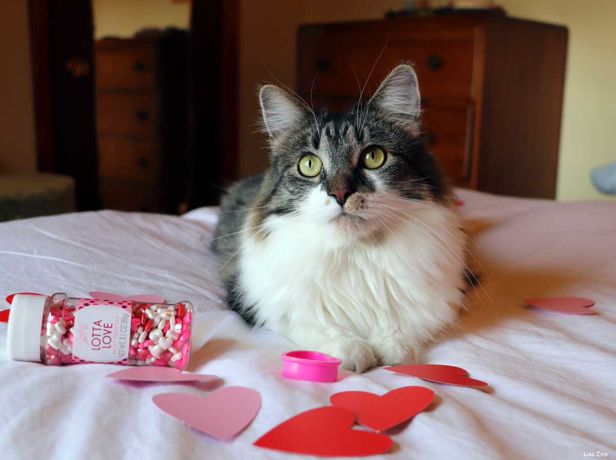 Valentine