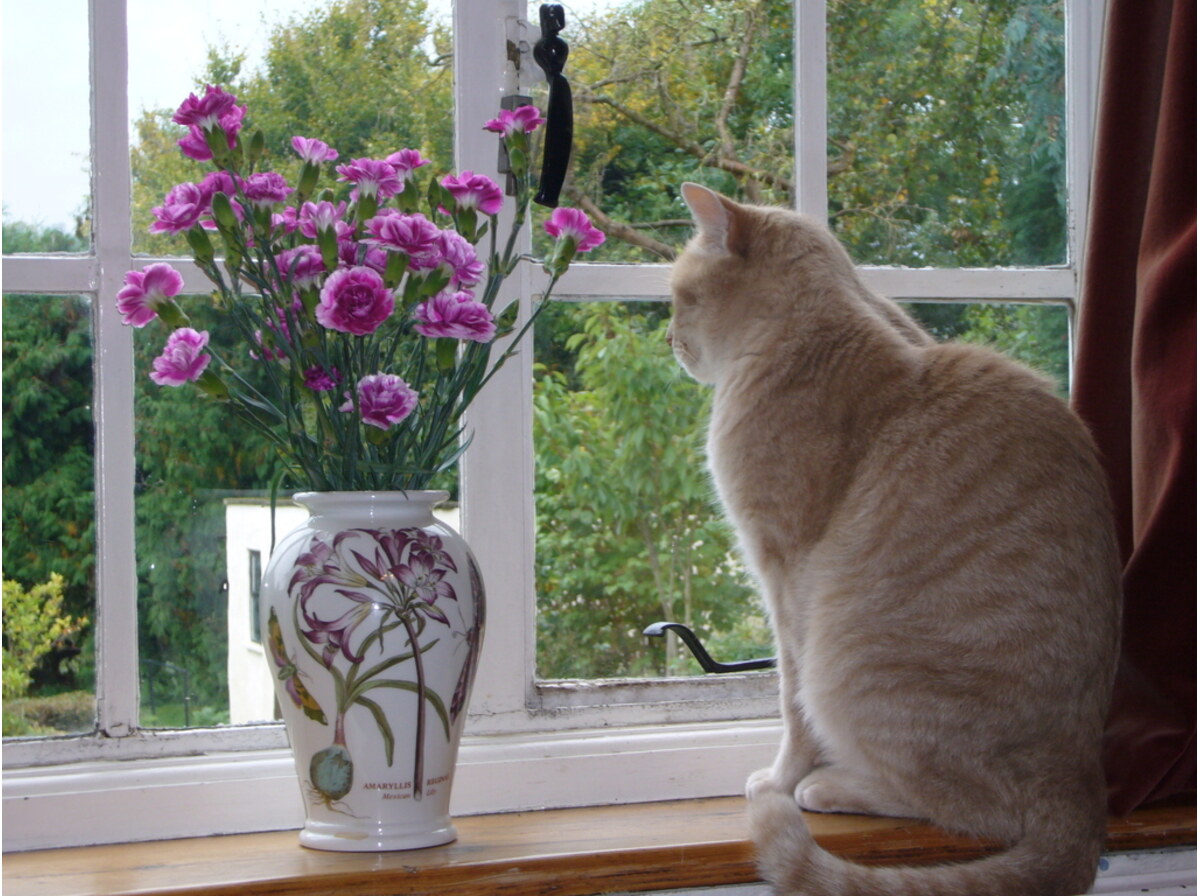 Vase