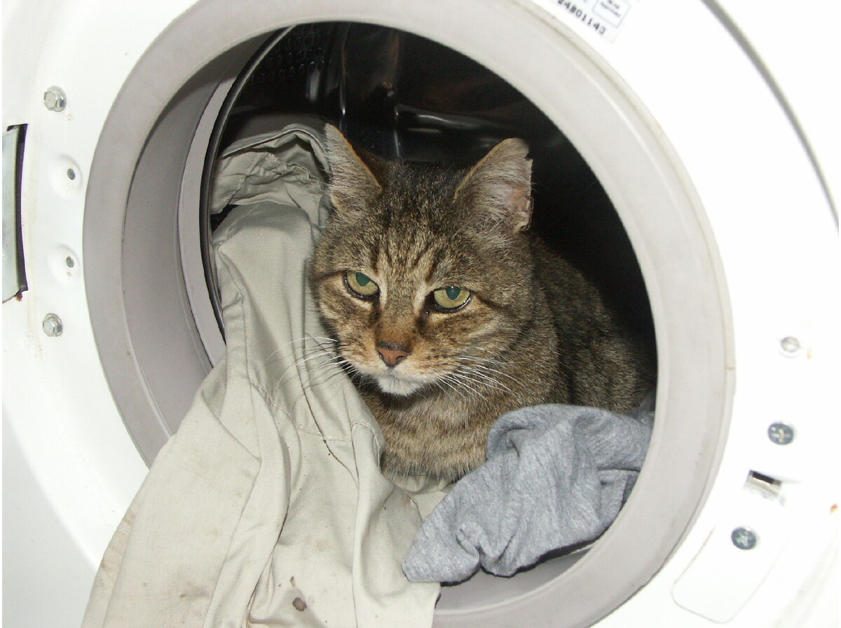 Washing machine