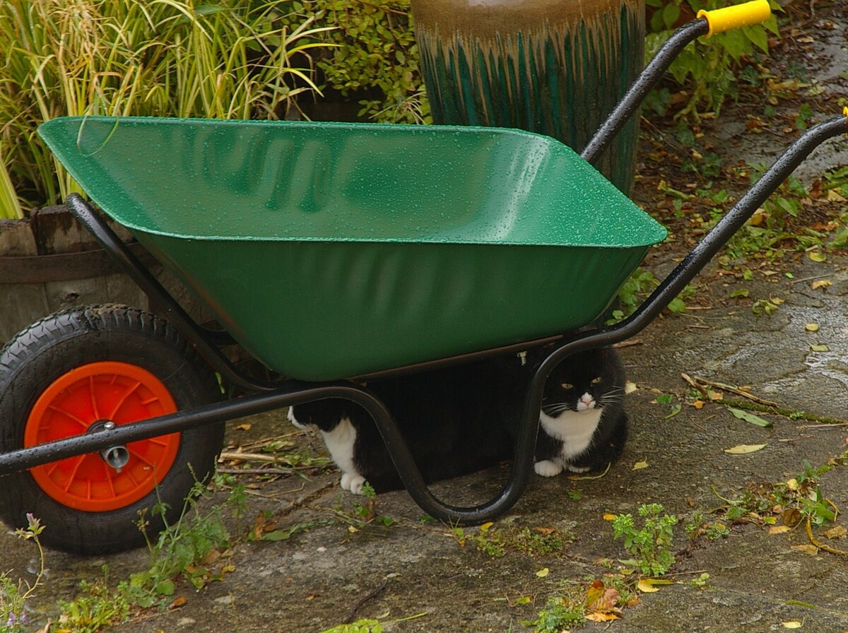 Wheelbarrow