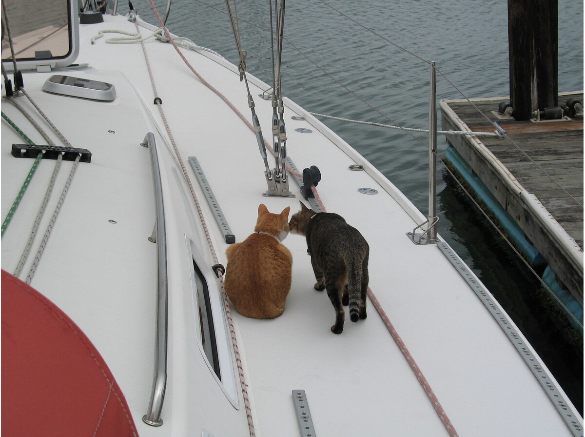 Yacht