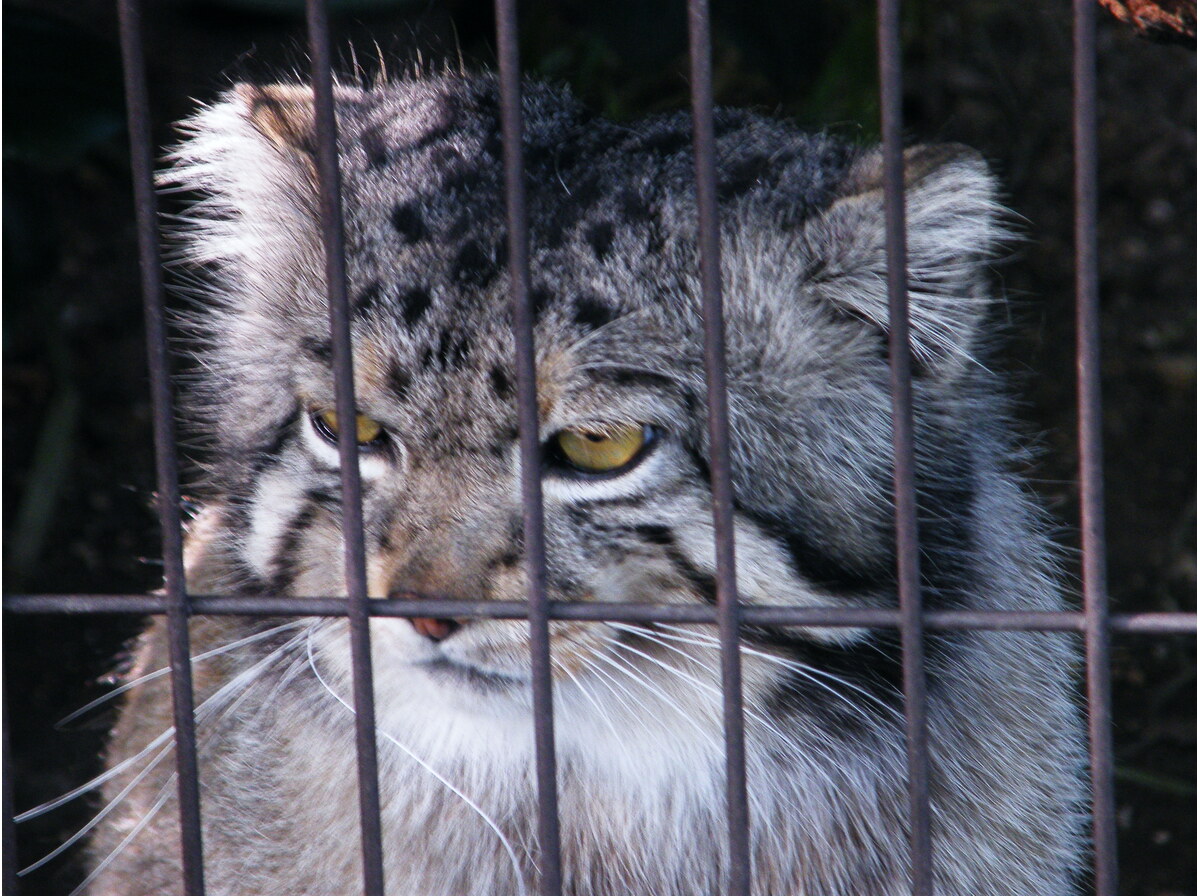 Zoo