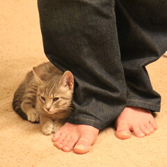 Ankle