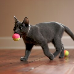 Ball